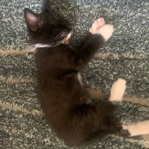 Meet your Posher, Kiana